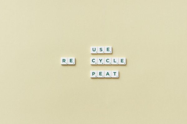 Comment se préparer pour un entretien d'embauche dans le domaine de la conservation marine?