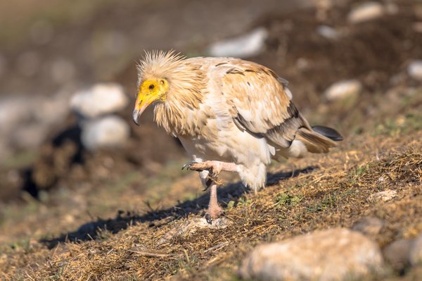 Le verre trempé : la révolution dans le monde de l'architecture et de la décoration intérieure